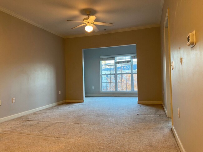 Building Photo - Bellingham Park Beauty