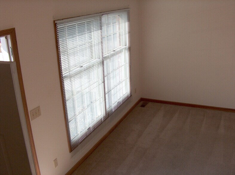 Lots of natural light in living room - 823 E Franklin St