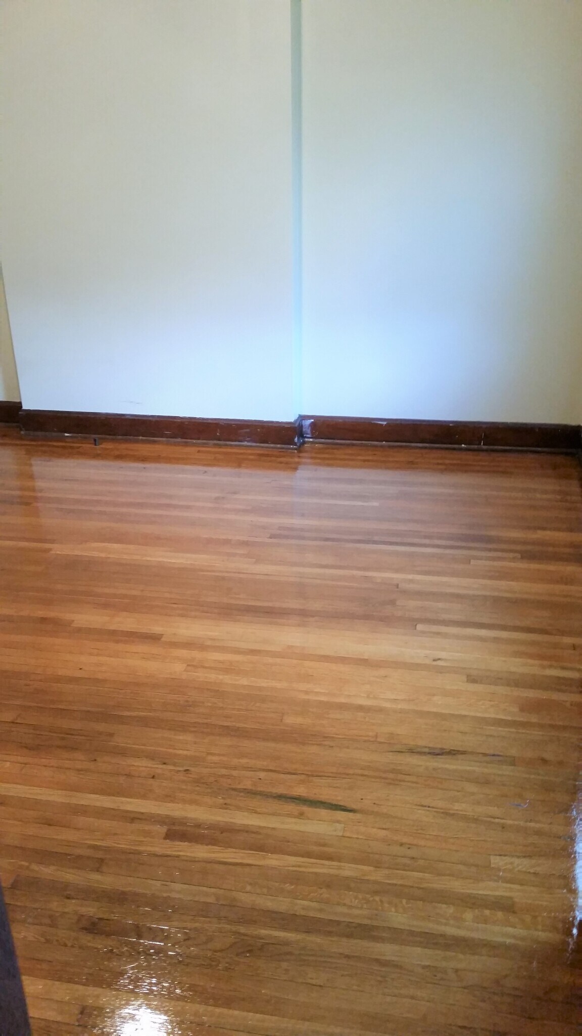 Building Photo - 499 Wyandotte Ave