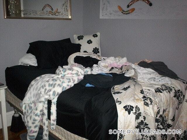 Building Photo - 243 Summer St