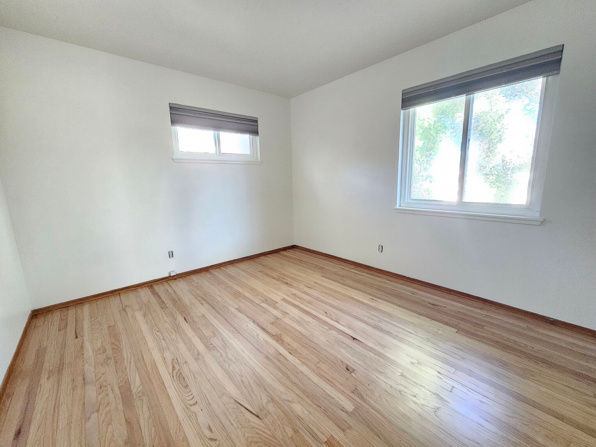 Building Photo - 819 Linden Ln