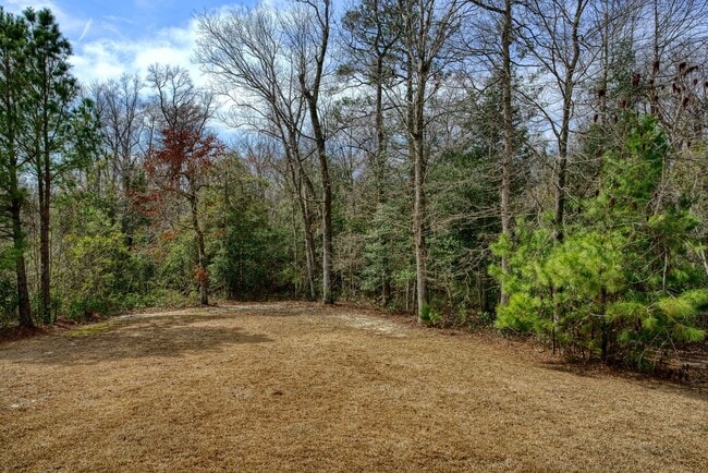 Building Photo - 328 Adobe Ln