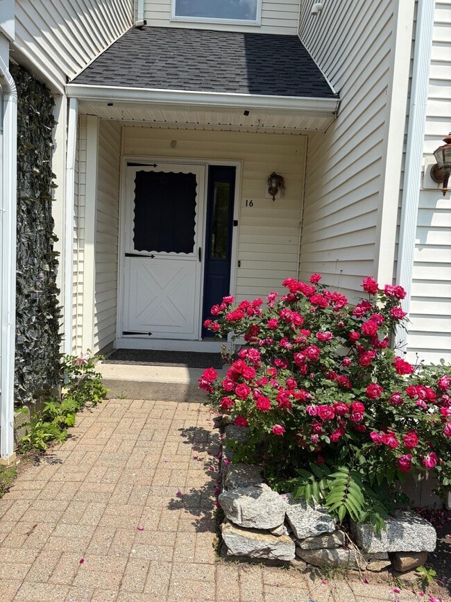 Primary Photo - 16 Maple St