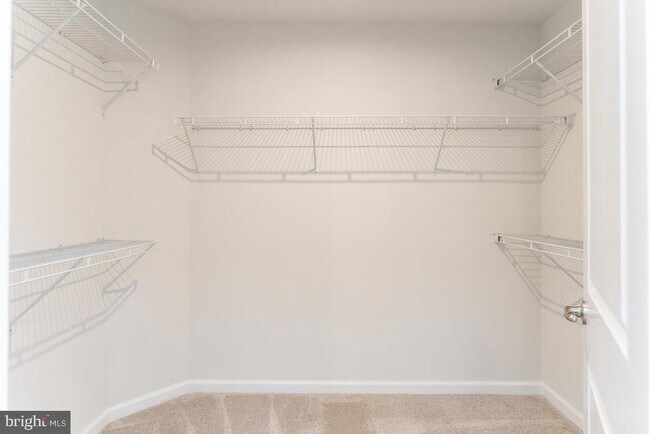 Building Photo - 9907 Cedarmass Cir