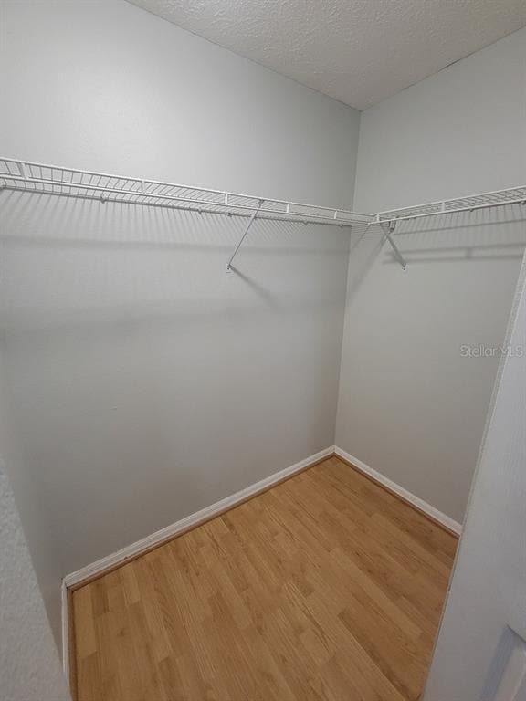 Building Photo - 7942 Chadwick Dr