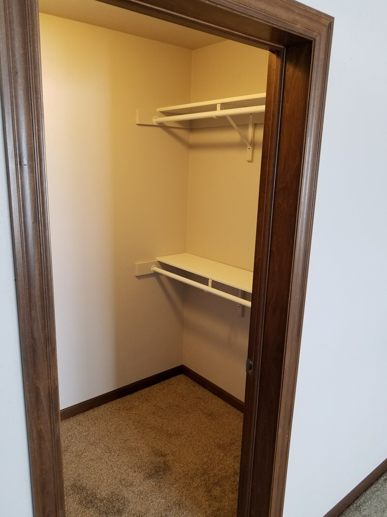 Building Photo - 1343 Moon Ridge Ct