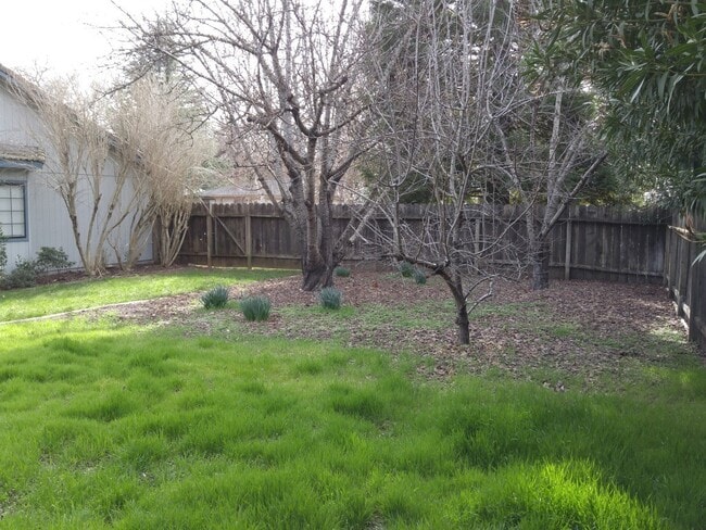 Building Photo - Spacious Home Between Redding and Anderson