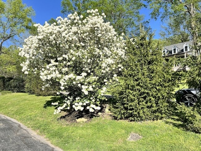 Building Photo - 204 Hogan Ln