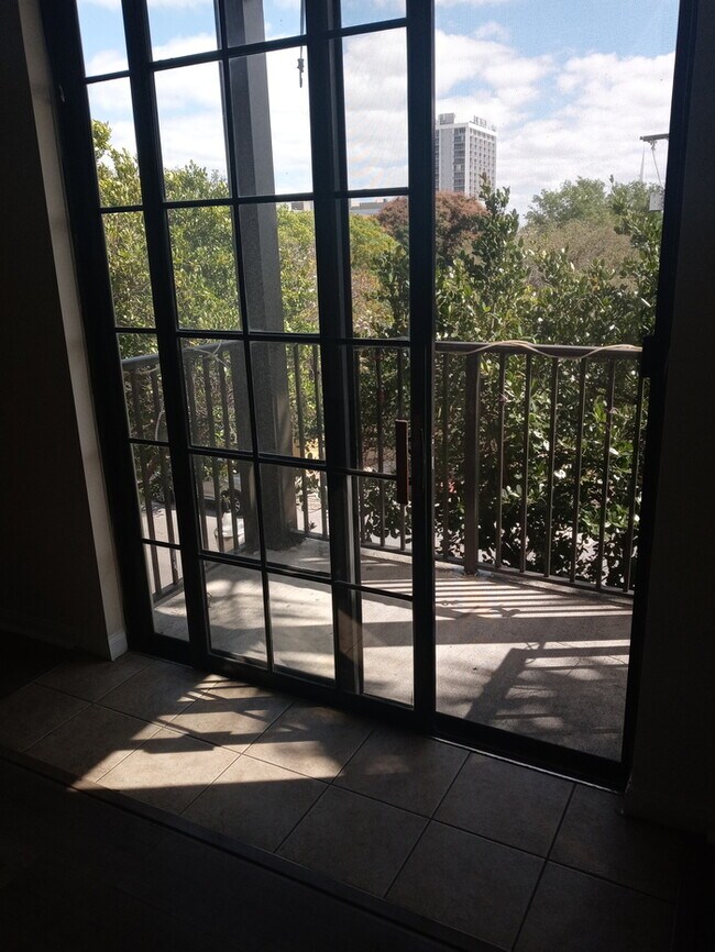 Building Photo - Hollywood Condo