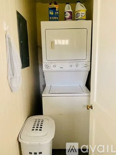 Laundry room - 636 Washington Ave