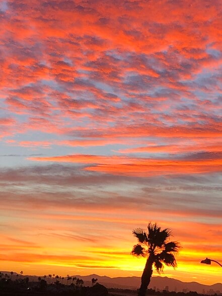 Building Photo - 1320 Seacoast Dr