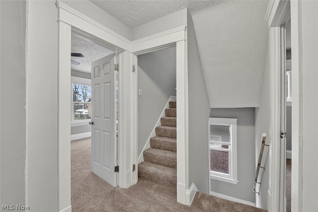 Building Photo - 12912 Maplerow Ave