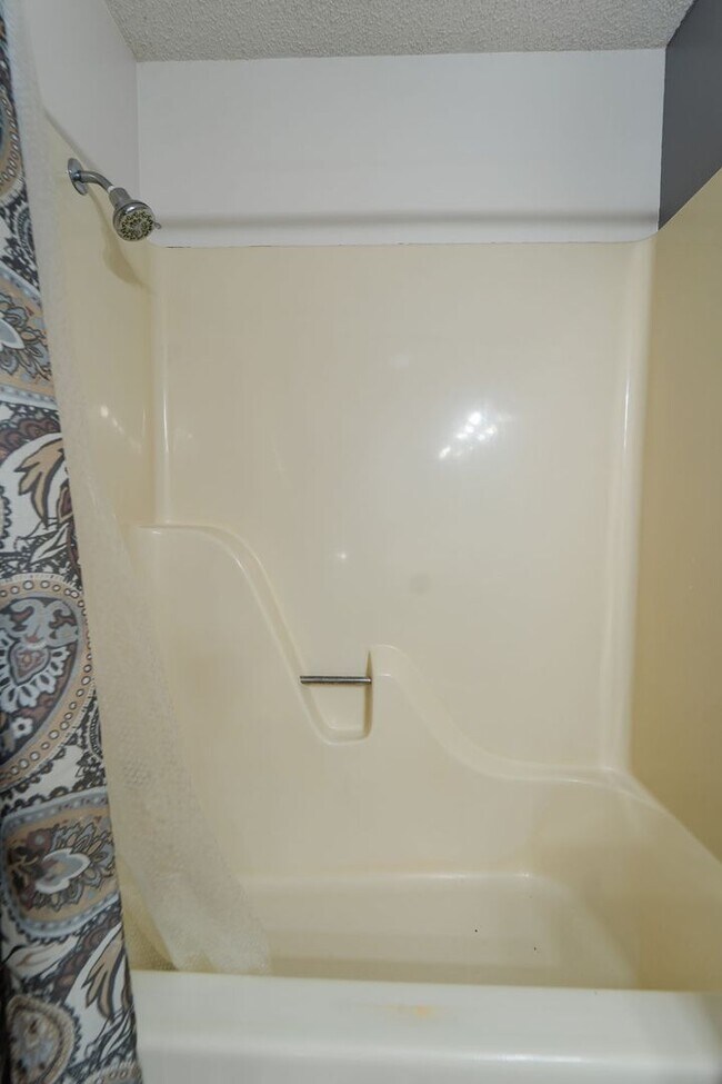 Building Photo - Beautiful 4 bedroom, 3 bathroom home on the East End of Hot Springs Village. Pets are considered ...