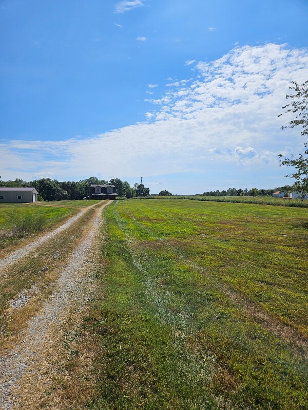 Building Photo - 2020 Rhodelia Rd