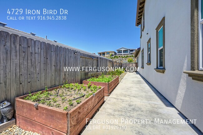 Building Photo - 4729 Iron Bird Dr