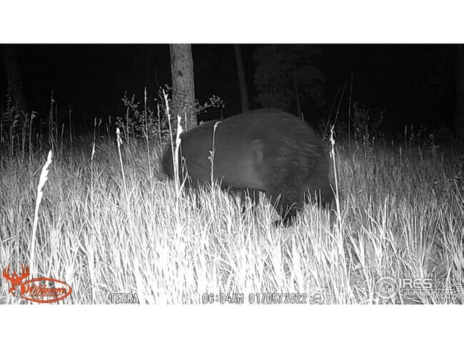 Building Photo - 457 Spruce Mountain Dr