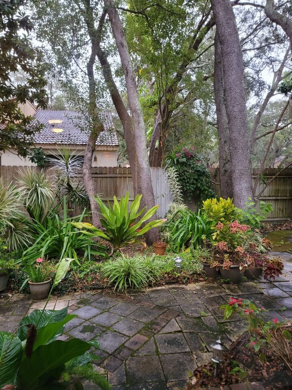 Building Photo - 1154 W Winged Foot Cir