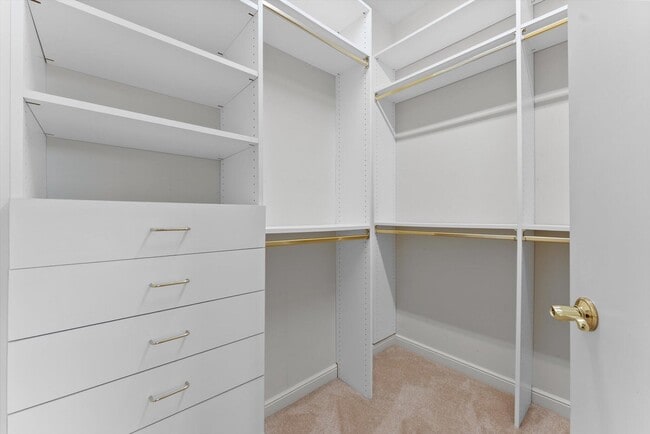 Building Photo - 7081 Mallorca Crescent