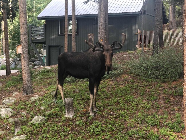 Building Photo - 157 Independence Cir