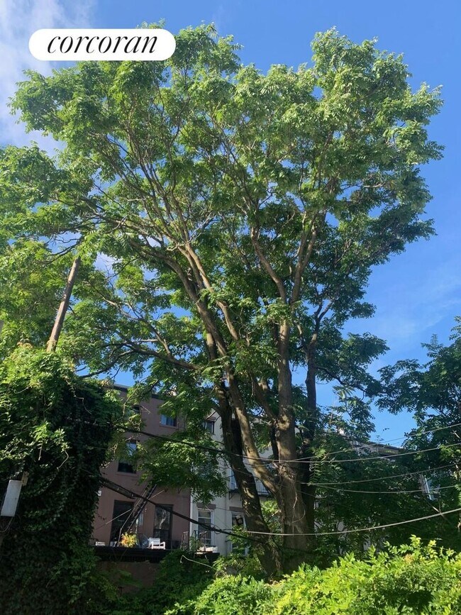 Building Photo - 46 First Place 1