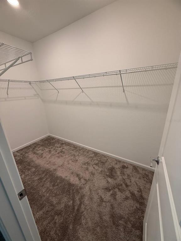 Building Photo - 1770 Rider Rain Ln