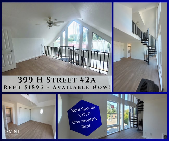 Primary Photo - NEWLY Renovated Spacious 1 bedroom unit wi...