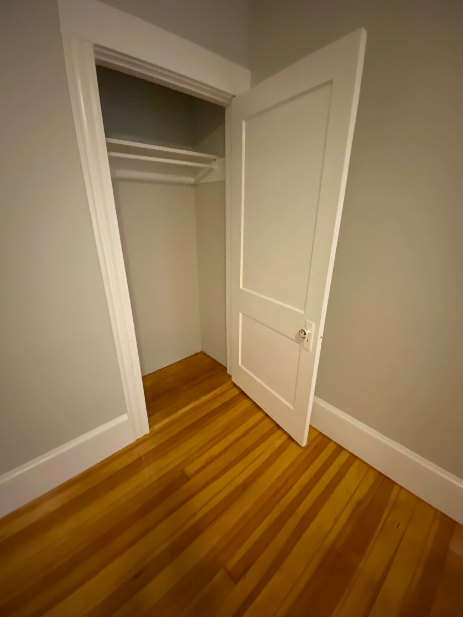 Bedroom1 Closet - 78 Fort St