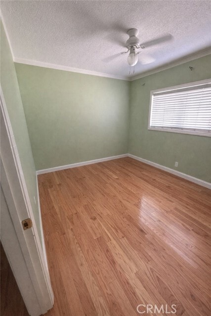 Building Photo - 1429 Underhill Terrace