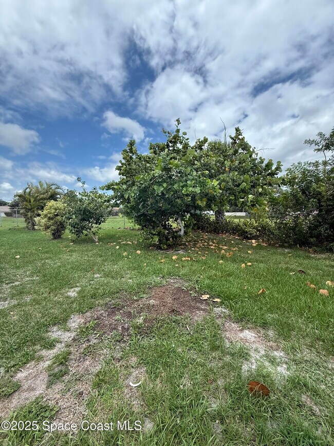 Building Photo - 3506 Egret Dr