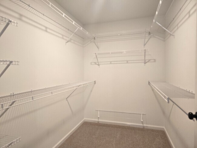 Building Photo - 337 Jardon St