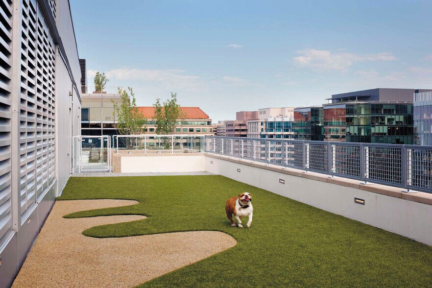 Building Photo - 825 10th St NW