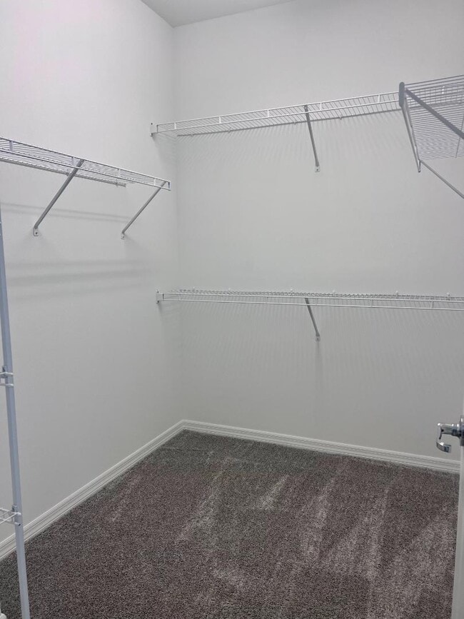 Building Photo - 6081 Carre Wy