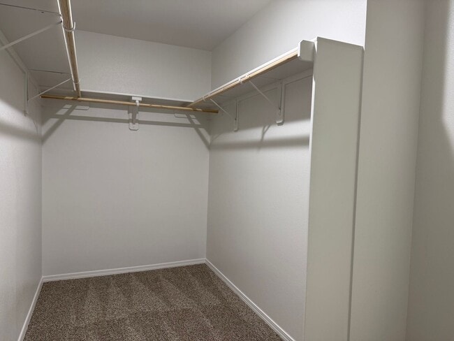 Building Photo - 245 Bighorn Trl