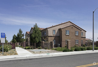 Building Photo - Twin Palm Apartments