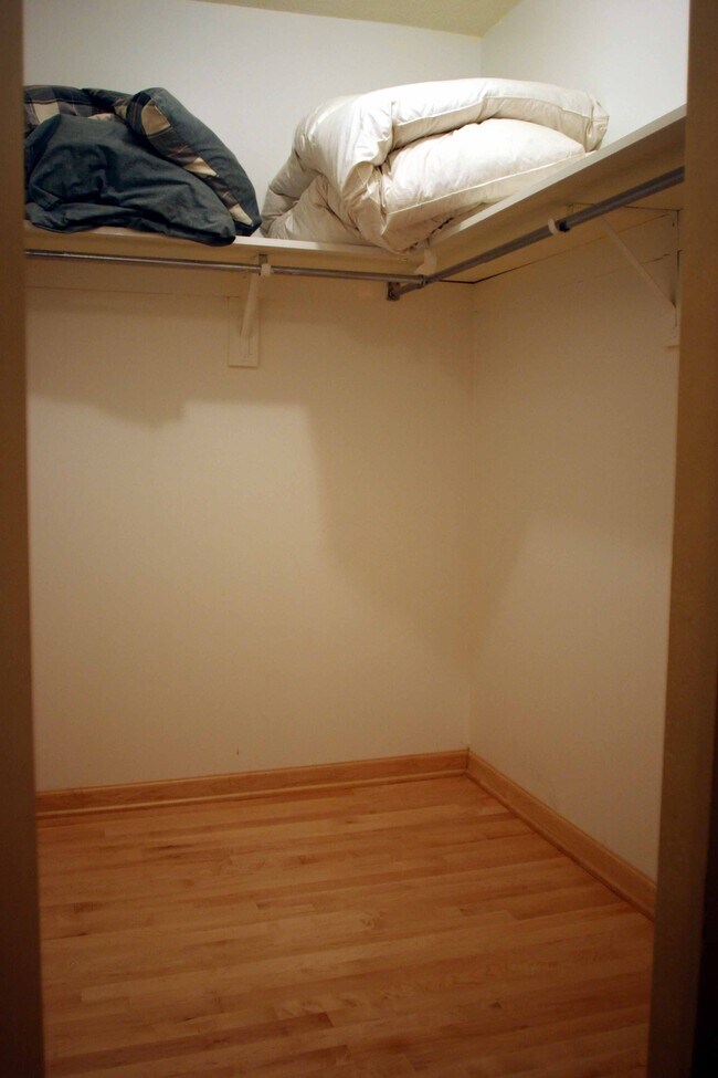Walk-In Closet - 899 S Plymouth Ct