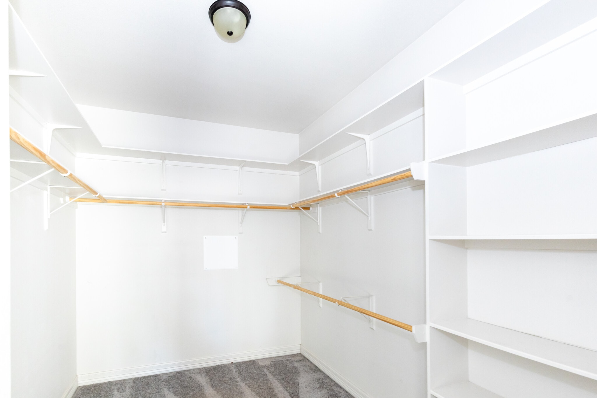 Walk in Closet - 336 Jake Dr