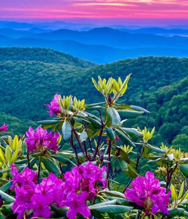 Building Photo - 303 Sugar Top Dr