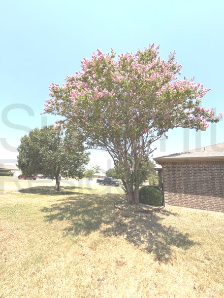 Building Photo - 201 Steller Ln