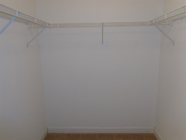 Building Photo - 1908 Thesa Ct