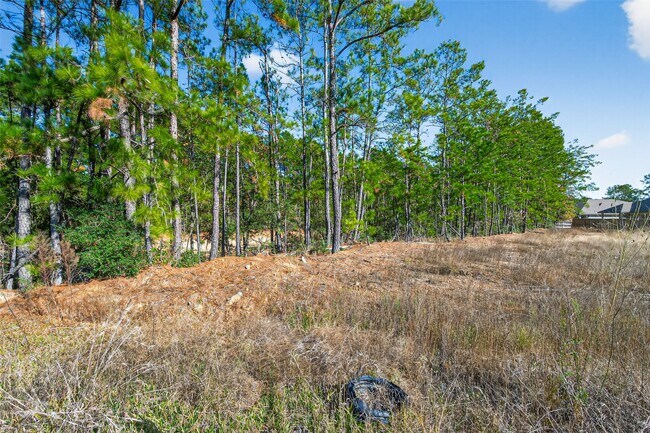 Building Photo - 2320 Cedar Pl Dr