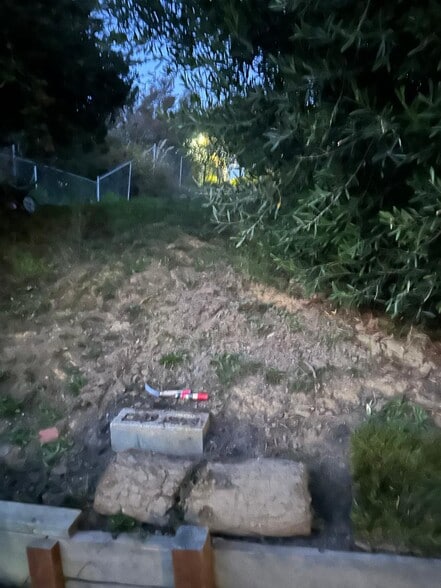 upper Back yard - 55 Park Cir