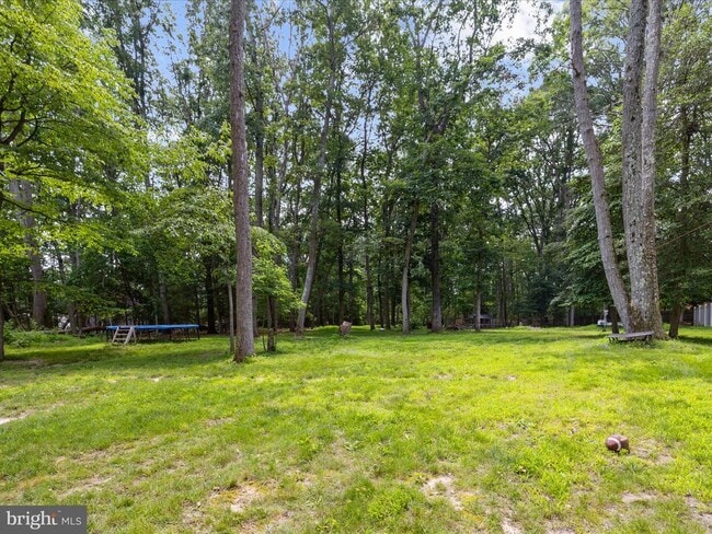 Building Photo - 1215 Holmewood Dr