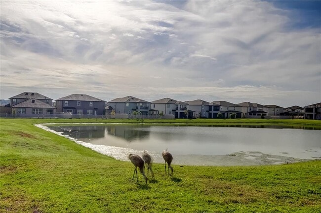Building Photo - 9542 Seagrass Port Pass
