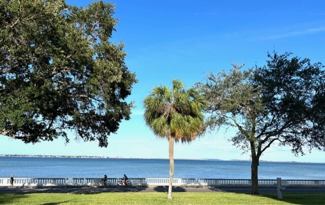 Building Photo - 4015 Bayshore Blvd