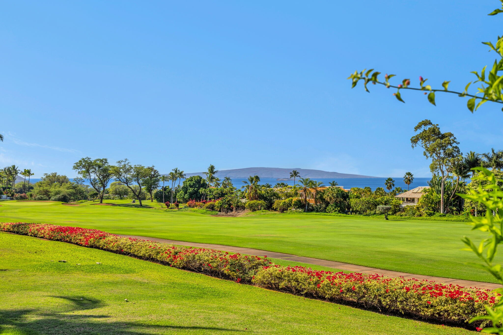 Building Photo - 3950 Kalai Waa St