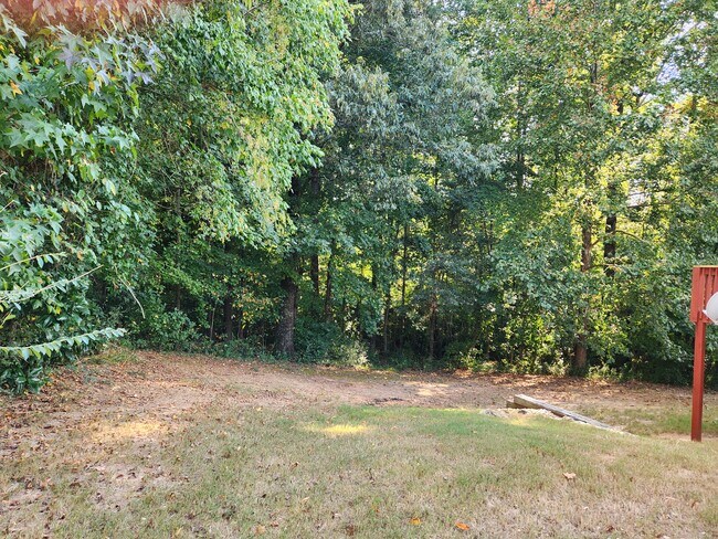 Backyard - 1025 Winding Brook Way