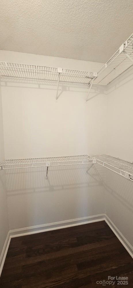 Building Photo - 3738 Sweetgrass Ln