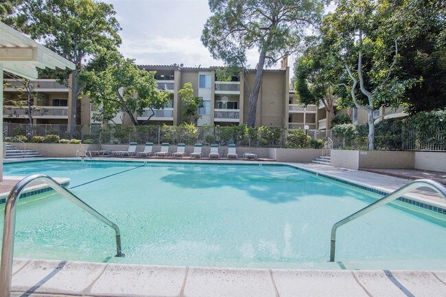 Pool - 1775 Diamond St