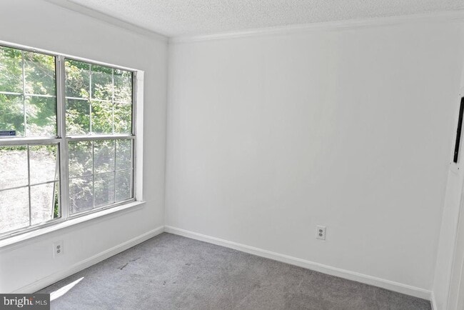 Building Photo - 1013 Fallcrest Ct