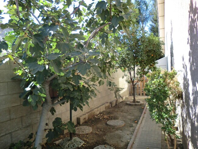 Building Photo - Silver Creek area. 4BD 2 BA. CLEAN,  NEWLY PAINTED